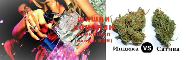 мяу мяу мука Богданович
