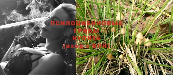 мяу мяу мука Богданович
