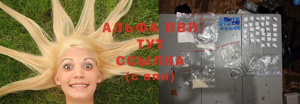 трава Богородицк