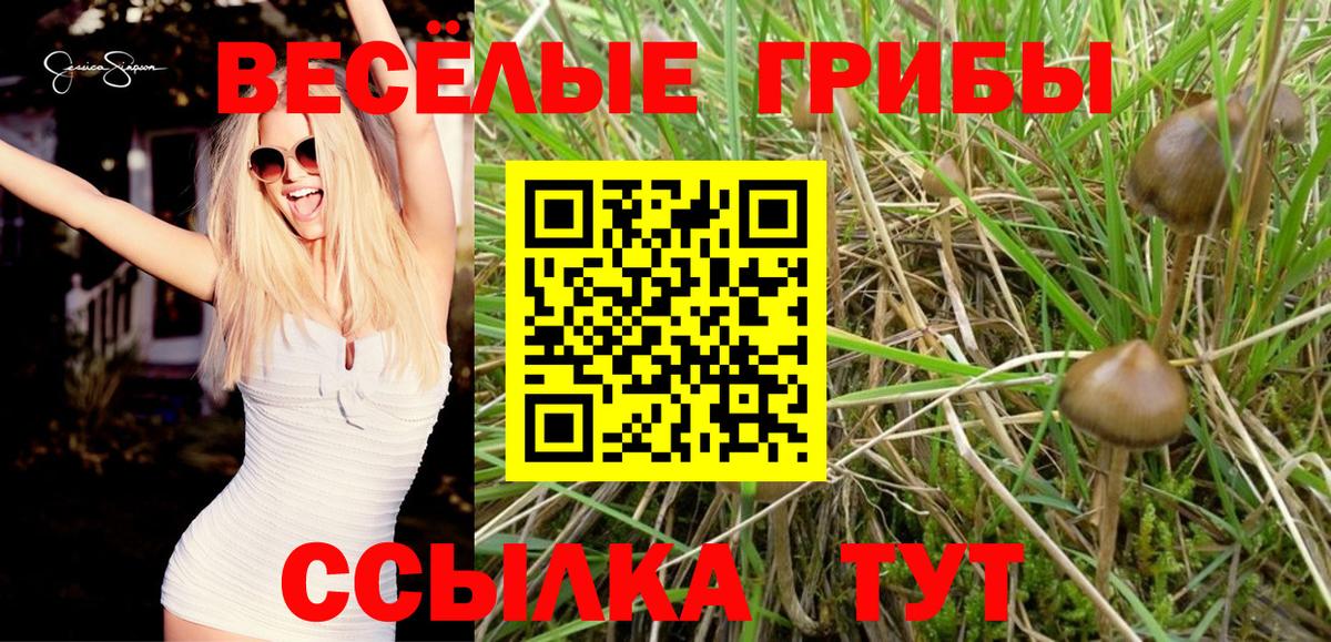 Галлюциногенные грибы GOLDEN TEACHER Наро-Фоминск